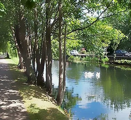 Morehampton Townhouse