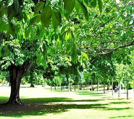 Δωμάτια σε οικογενειακή κατοικία Morehampton Townhouse *