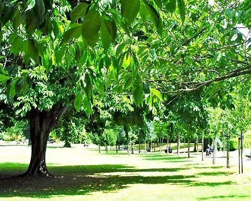 Kwatera prywatna Morehampton Townhouse *