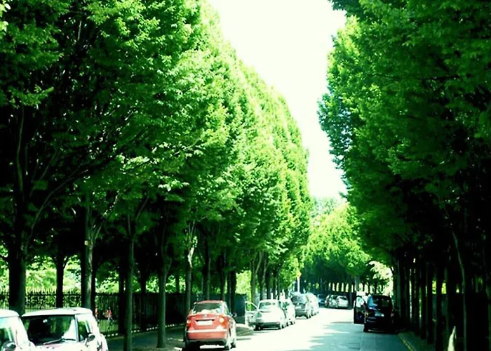 モアハンプトン タウンハウス ホームステイ